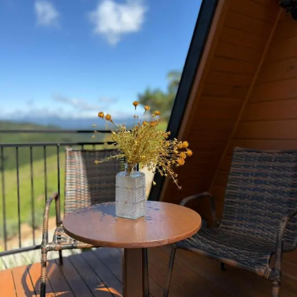 WhatsApp Image 2025-11-28 at 08.16.21